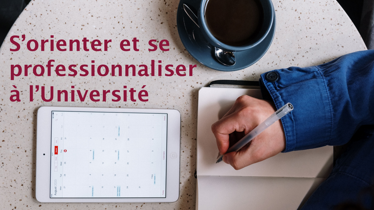 S'orienter et se professionnaliser à l'université